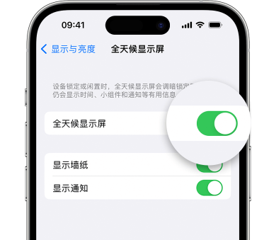 肇庆苹果15预约维修分享iPhone15如何设置全天候显示屏幕可见 