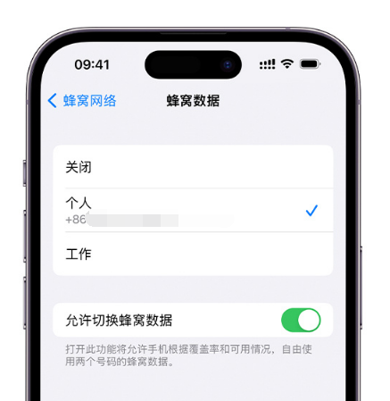 肇庆苹果维修服务分享如何在iPhone上使用双卡 